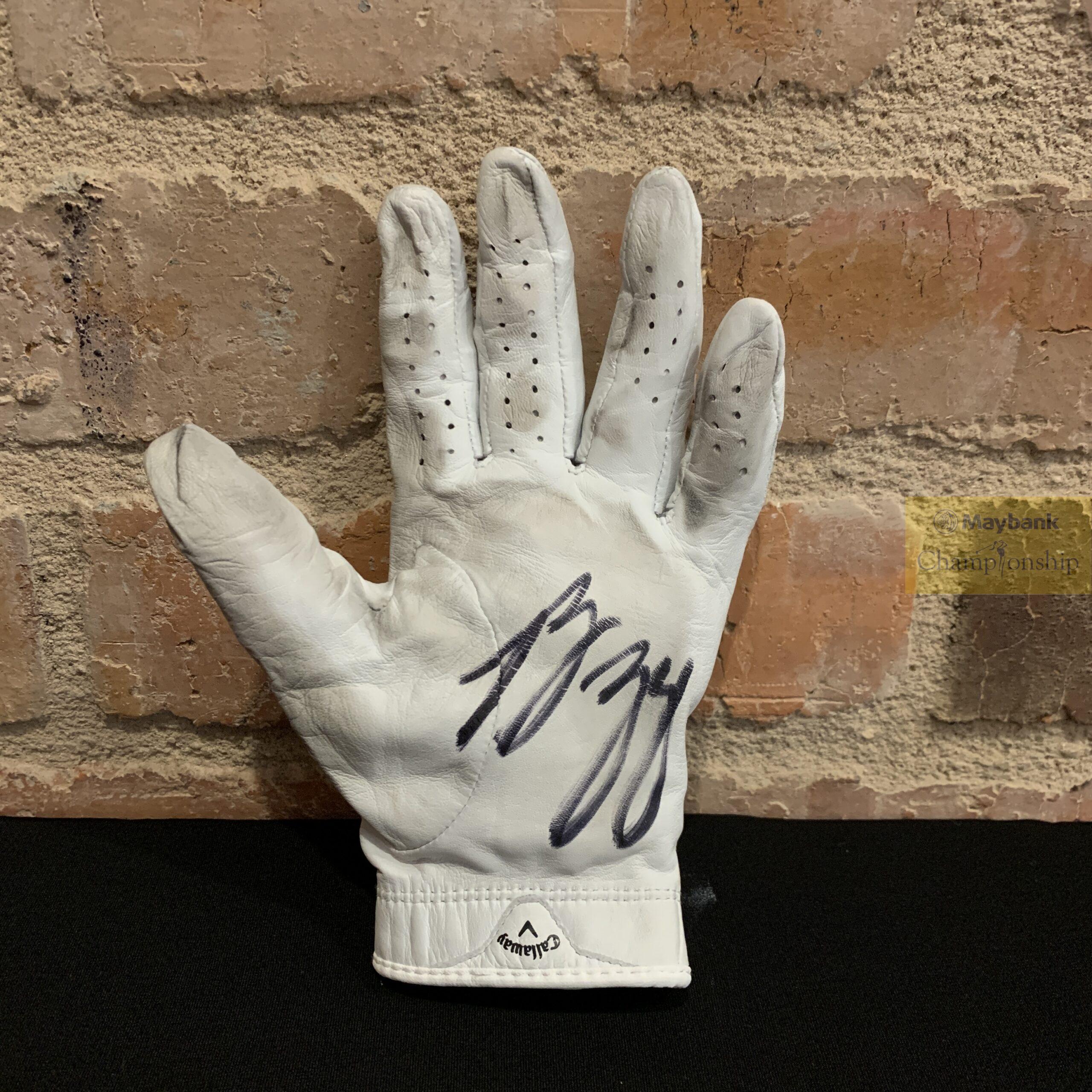 Signed Glove